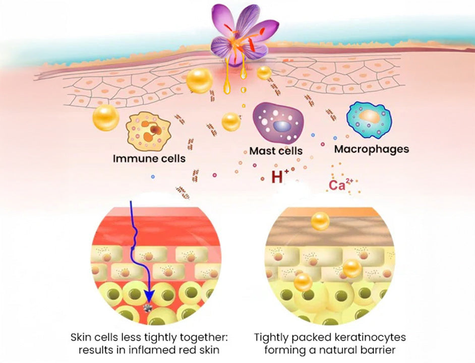 CVREOZ® SootheGlow Herbal Cream 25 Alt Image
