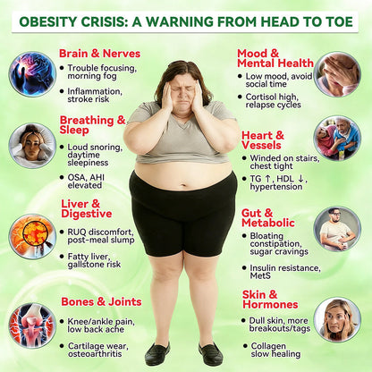 Healrize® 𝙈𝒐𝒓𝒊𝒏𝒈𝗮 · 𝗕𝗲𝗿𝗯𝐞𝐫𝐢𝐧𝙚 × 𝙉𝑨𝑫+ 𝟏𝟎-𝙞𝙣-1 𝘼𝒅𝒗𝒂𝒏𝒄𝒆𝐝 𝐍𝐚𝐧𝙤 𝙈𝙞𝙘𝙧𝙤𝙣𝒆𝒆𝒅𝒍𝐞 𝐏𝐚𝐭𝙘𝙝 🅱︎