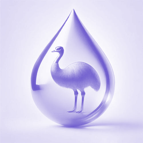 Alt Image